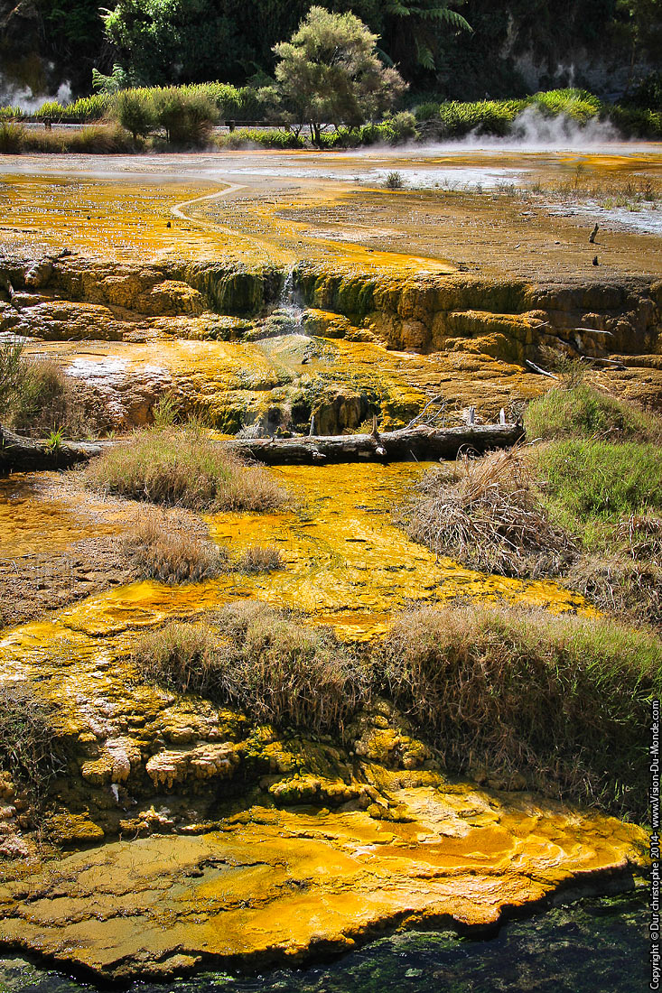Waimangu Volcanic Valley - Rotorua - 2014