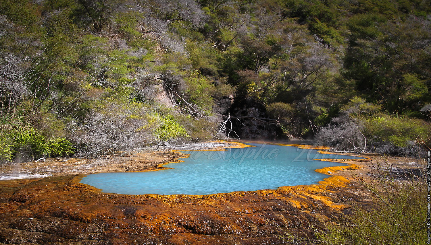 Waimangu Volcanic Valley - Rotorua - 2014