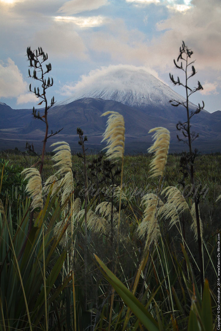 Tongariro National Park - 2014