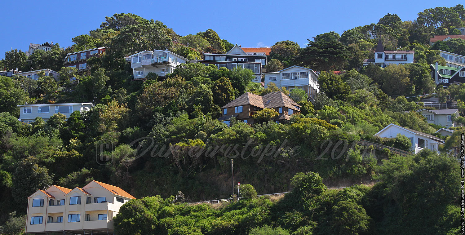 Quartier haut - Wellington - 2014