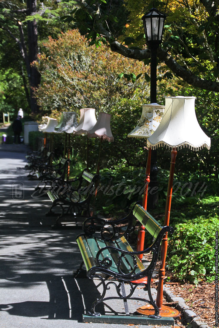 Jardin Botanique - Wellington - 2014