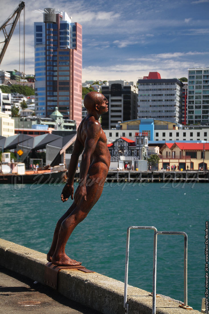 Le plongeur  - Wellington - 2014