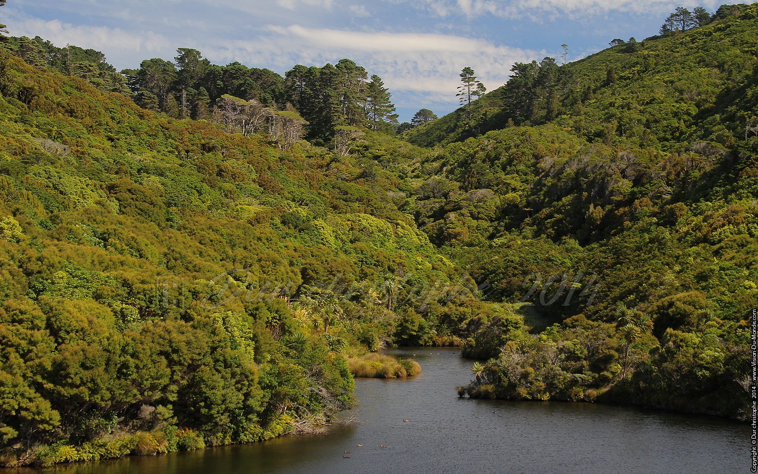 Zélandia  - Wellington - 2014