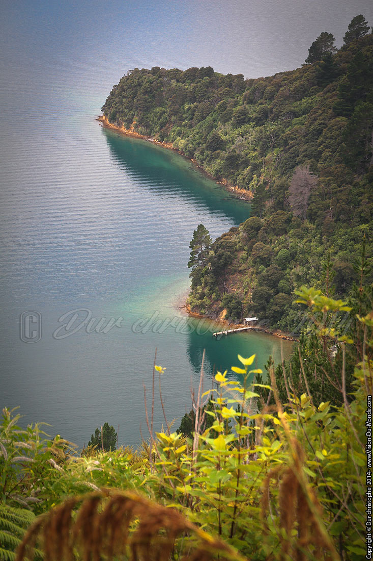 Queen Charlotte Track - 2014