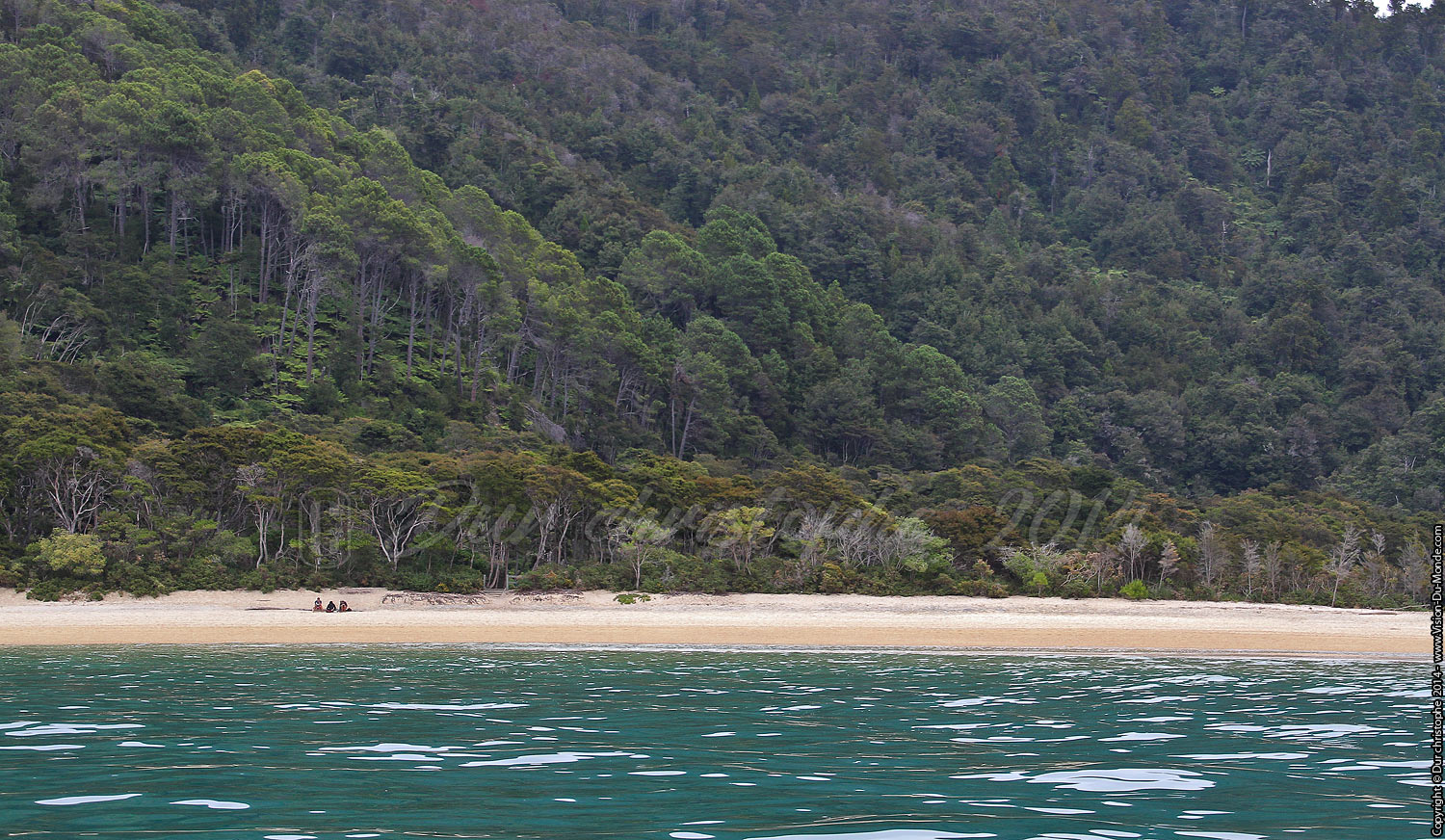 Abel Tasman National Park - 2014