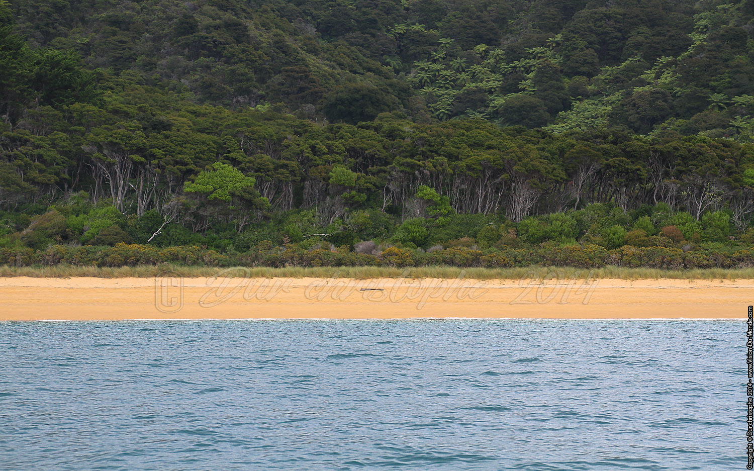 Abel Tasman National Park - 2014