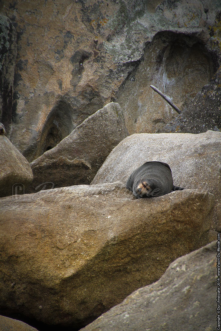 Abel Tasman National Park - 2014