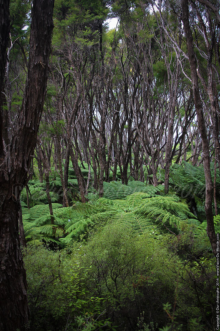 Abel Tasman National Park - 2014