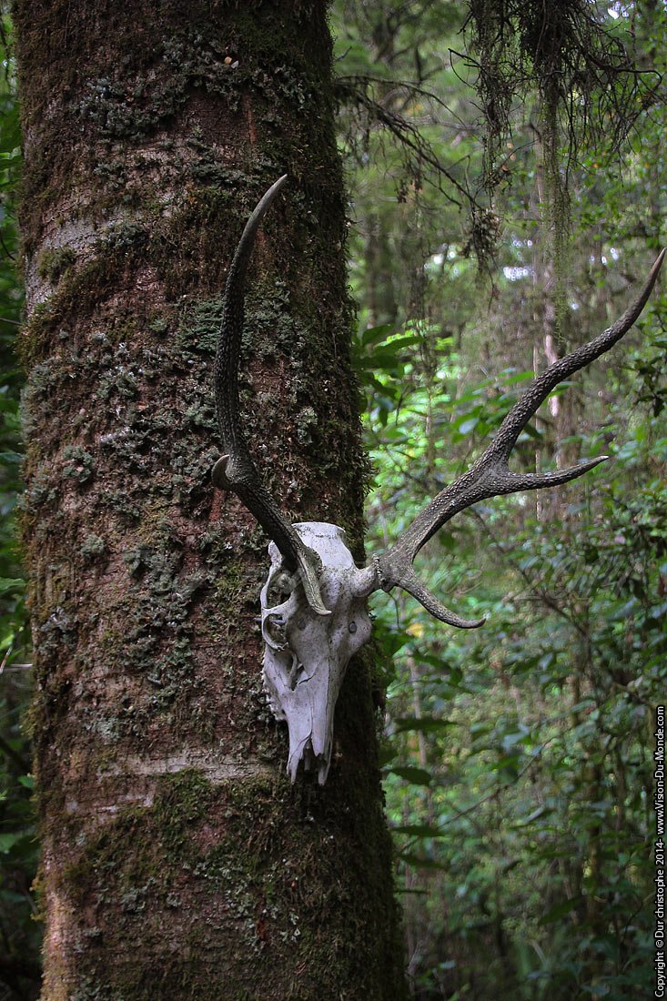 Bullergorge - Murchison - 2014