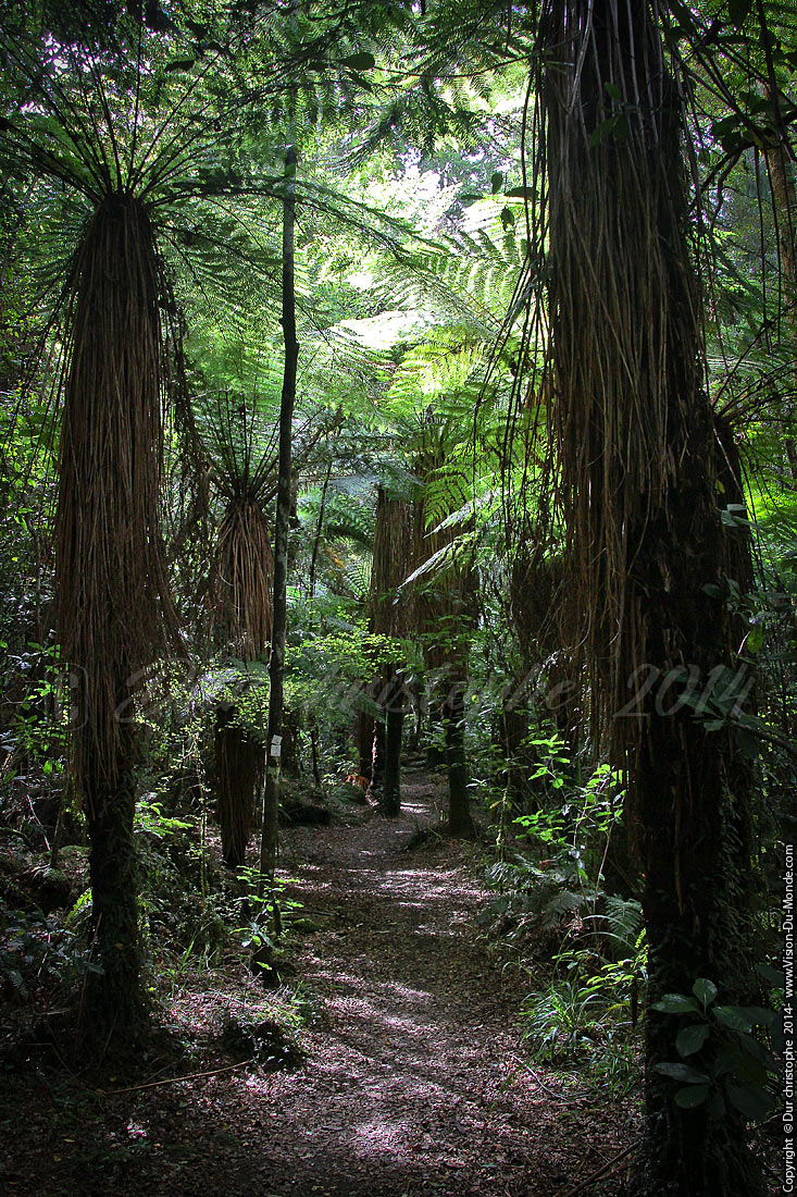 Bullergorge - Murchison - 2014