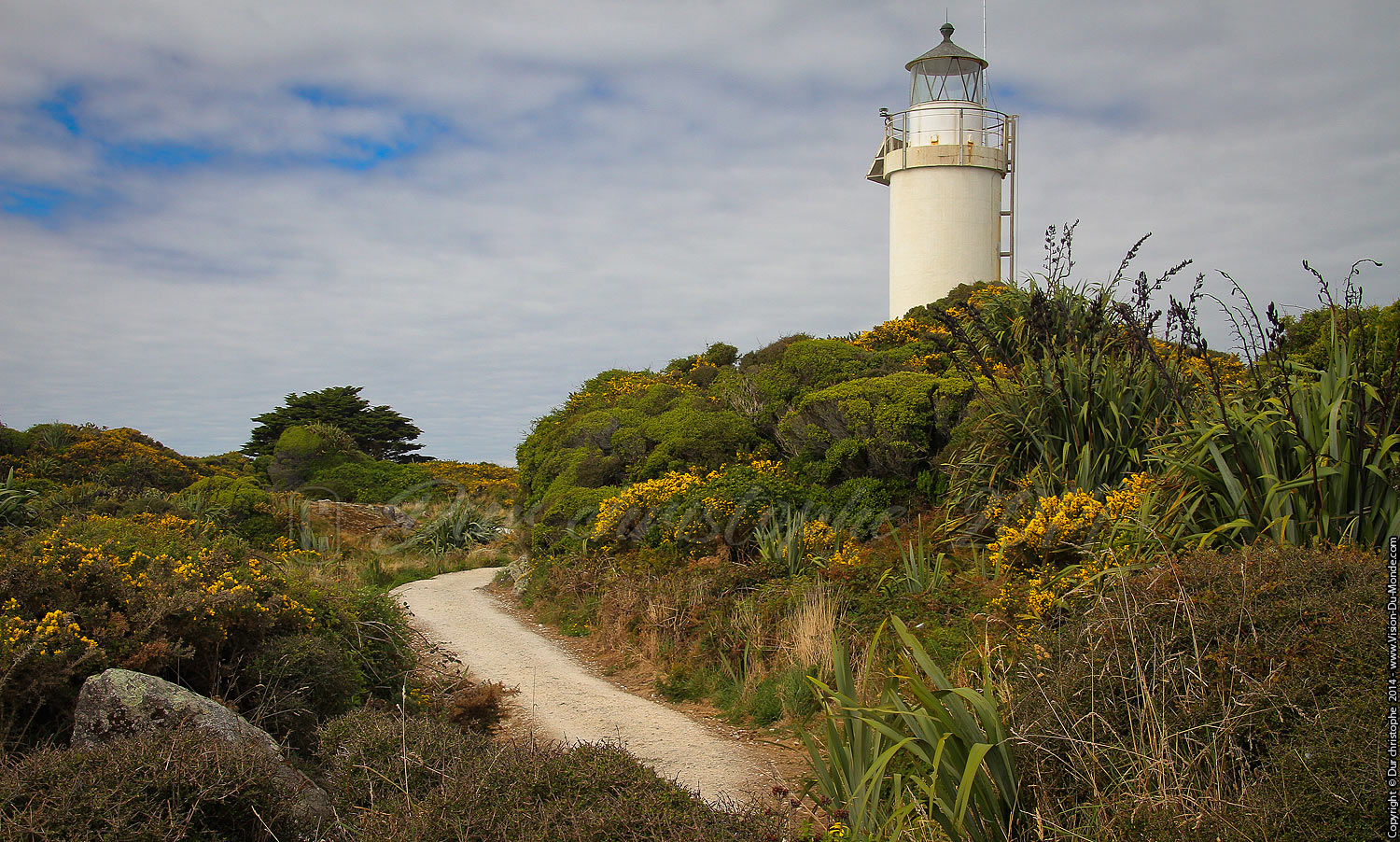 Cape Foulwind - Westport - 2014