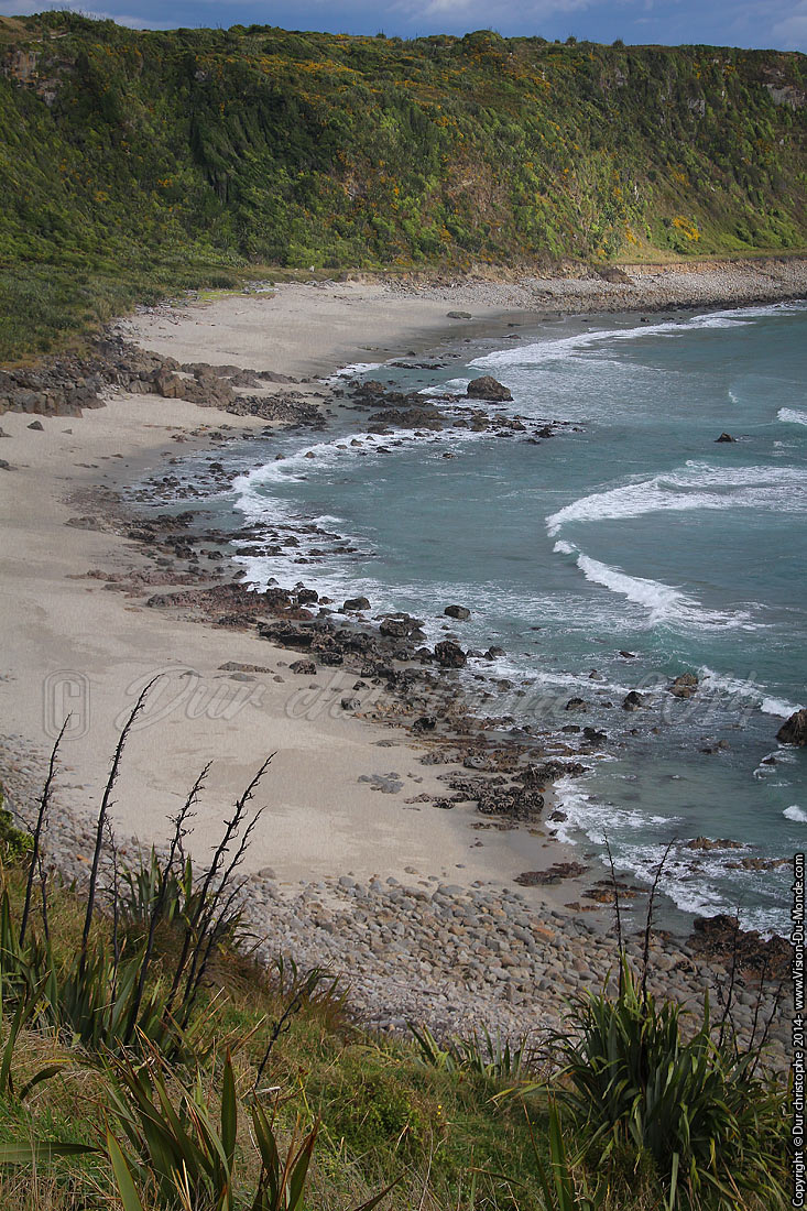 Cape Foulwind - Westport - 2014
