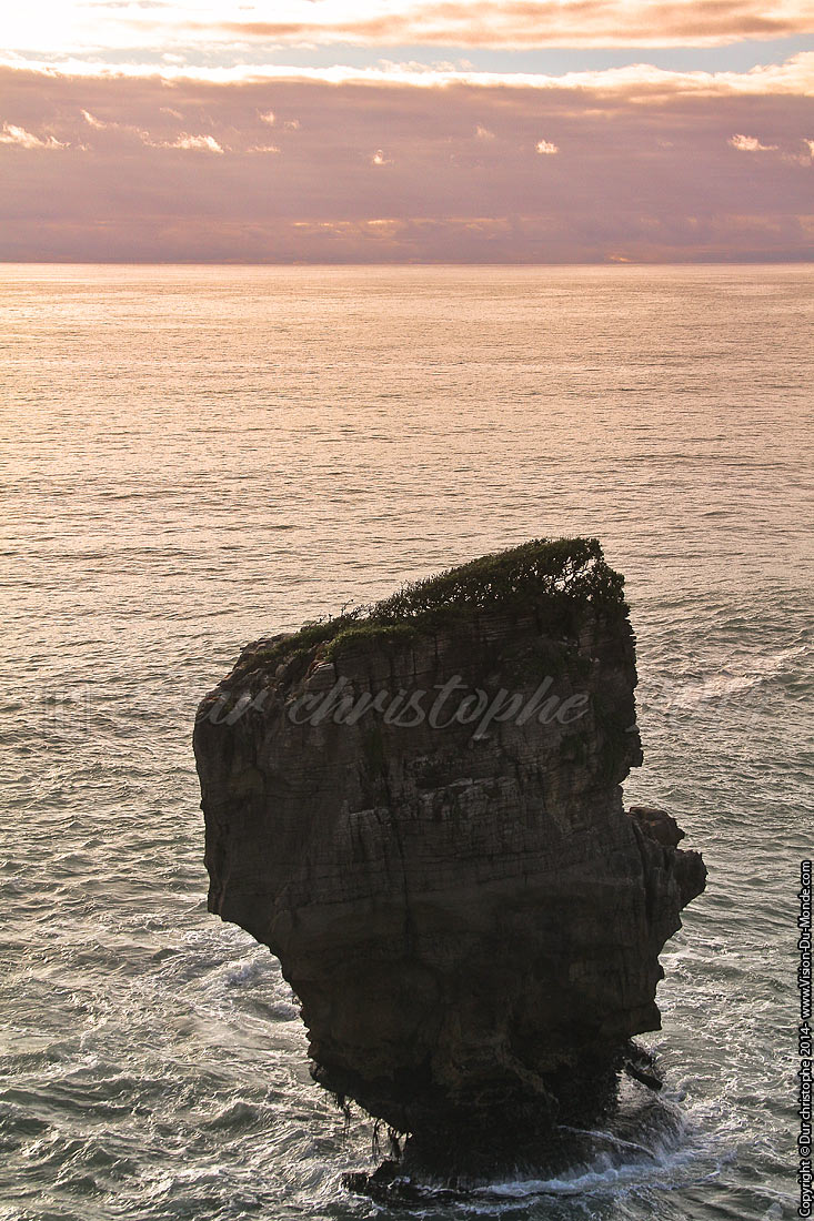 Paparoa National Park - 2014