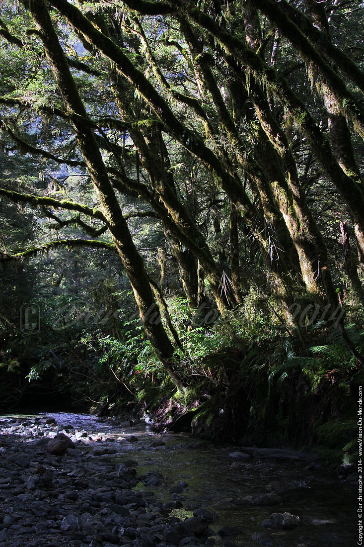 La rivière - Haast pass - 2014