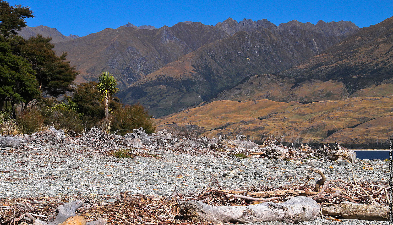 Plage sauvage - Lac Wanaka - 2014