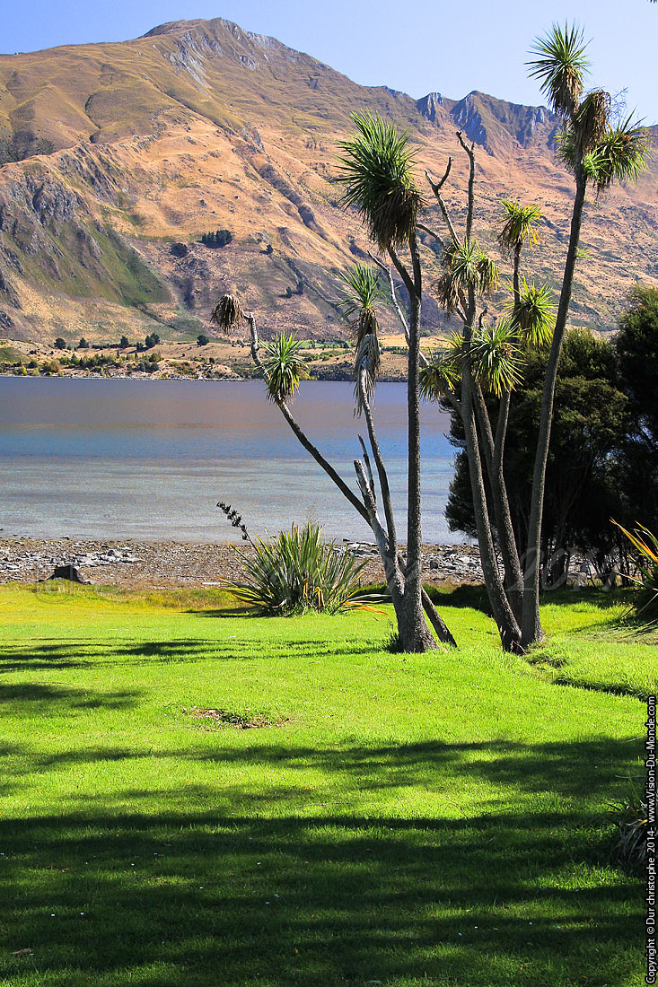 Lac Wanaka - 2014