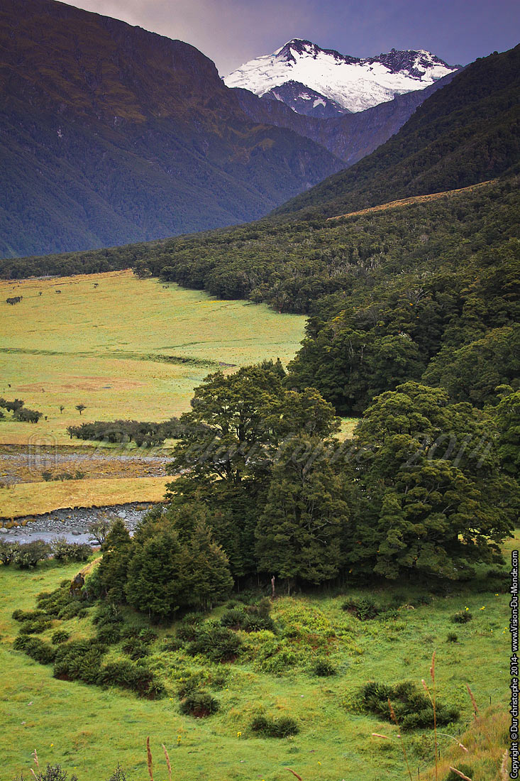 Mount Aspiring Park - 2014