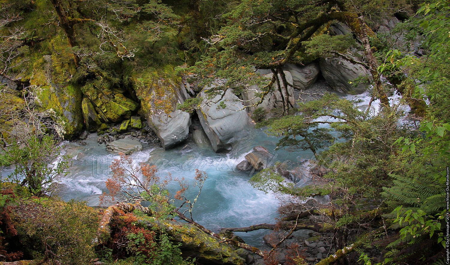 La rivière bleue - Mount  Aspiring Park - 2014