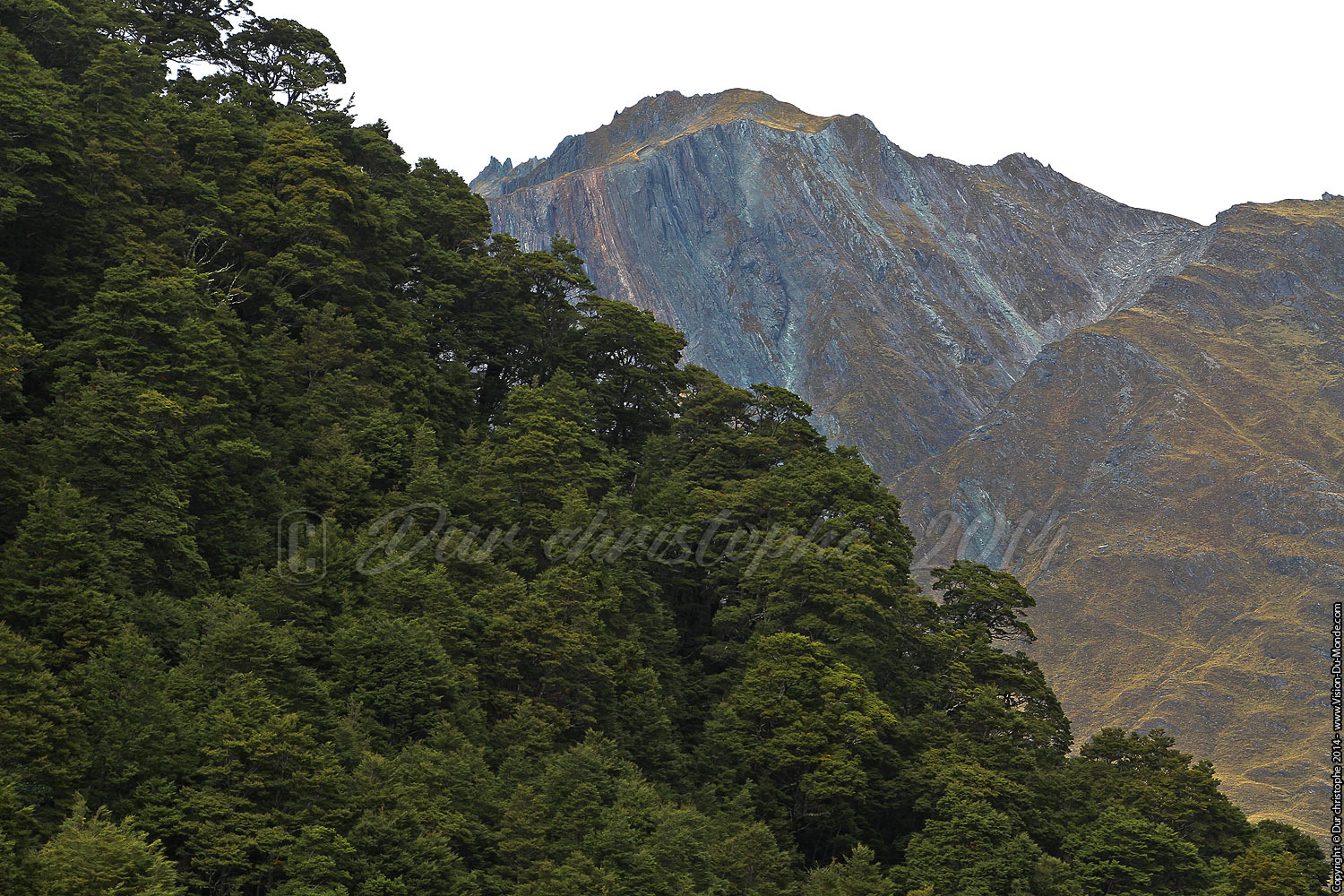 Mount  Aspiring Park - 2014