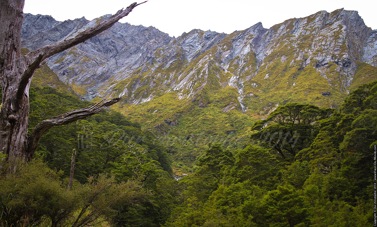 Mount  Aspiring Park - 2014