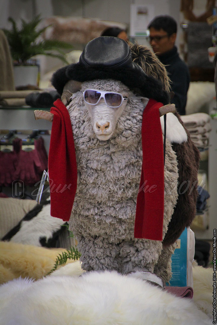 Le mouton style - Queenstown - 2014