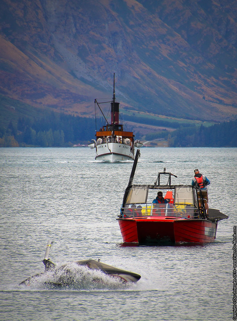 Le requin à moteur  - Queenstown - 2014