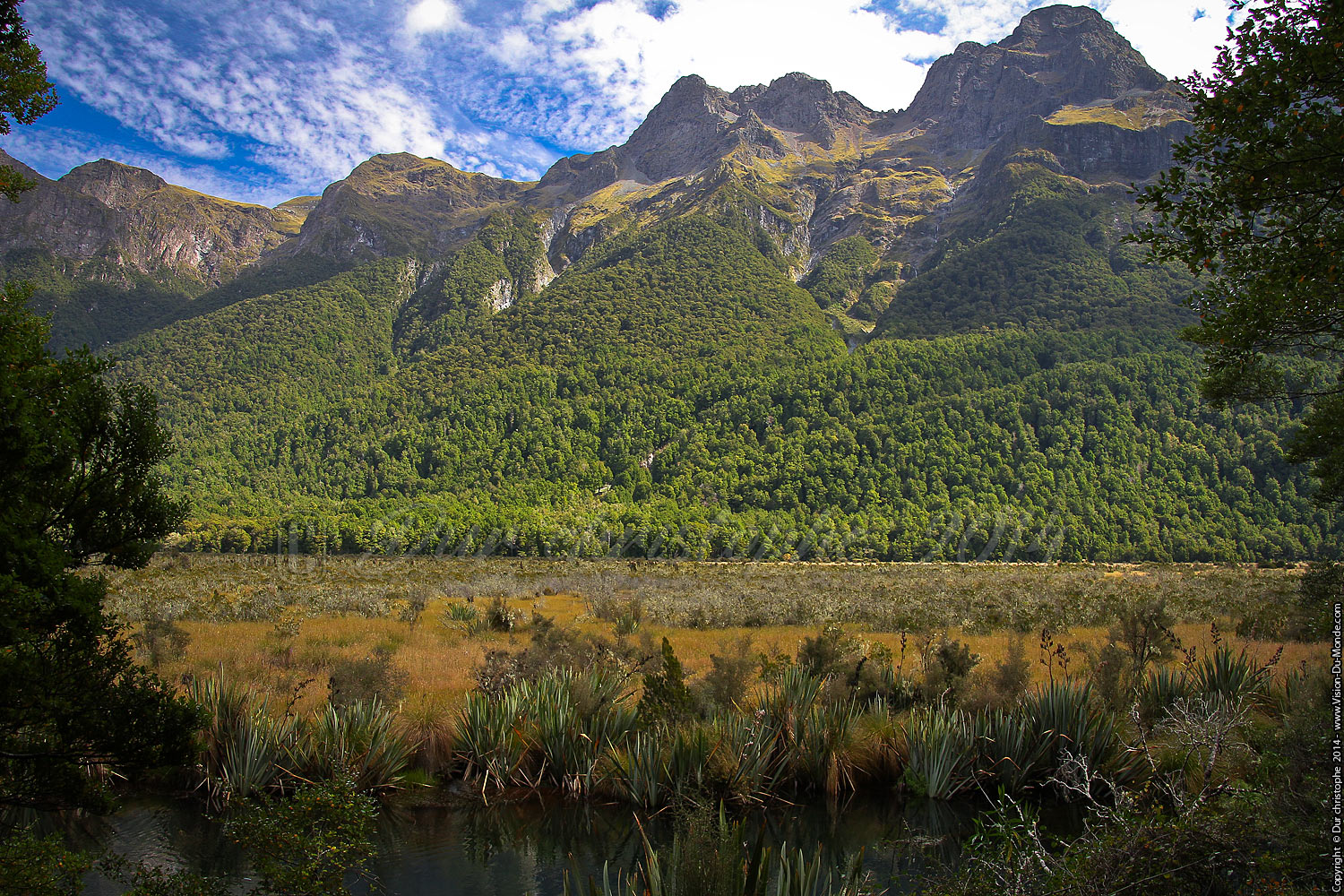 Milford sounds road - 2014