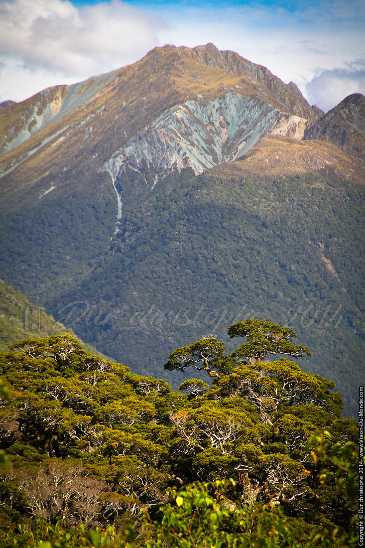 Milford sounds road - 2014
