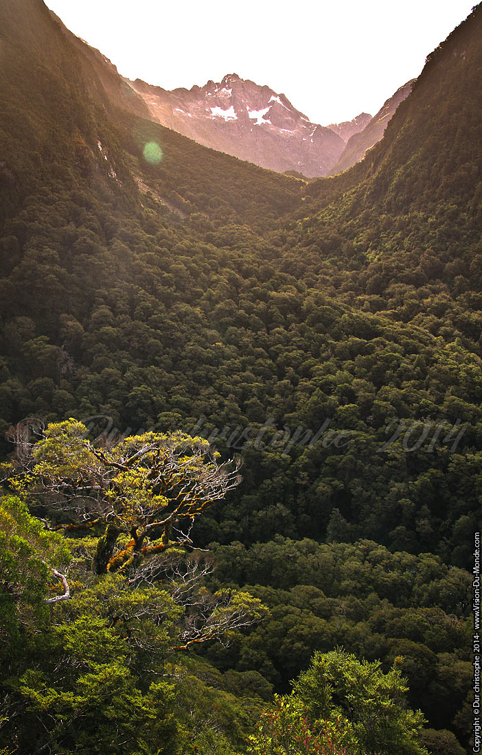 Milford road - 2014