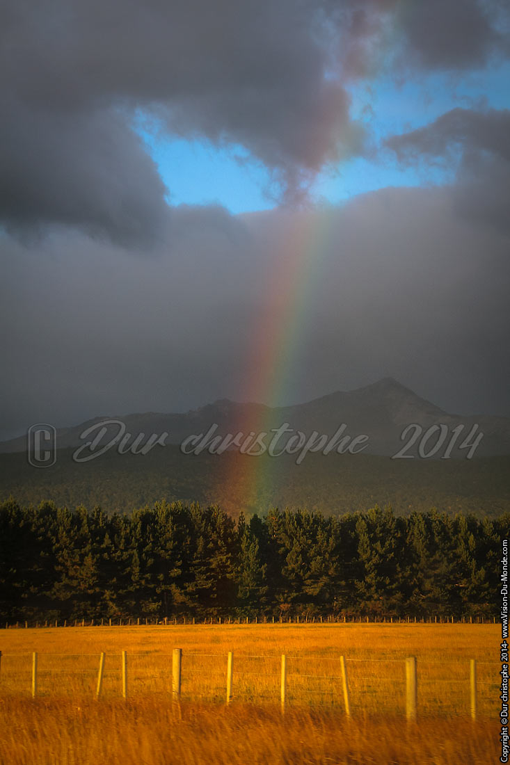 Over the raimbow - 2014