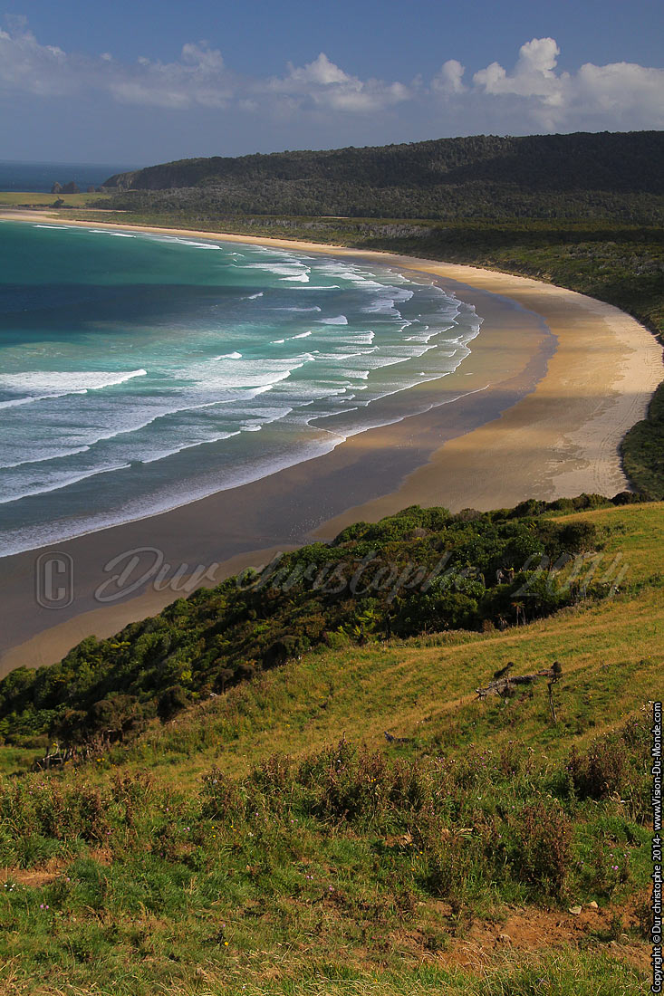 Plage dorée - Catlins- 2014