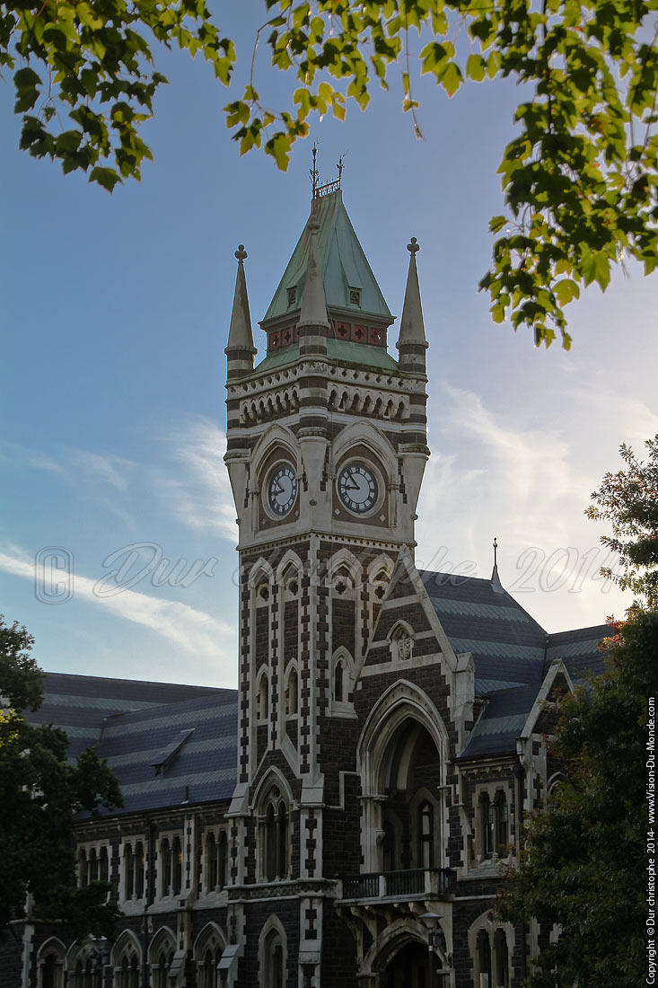 Dunedin - 2014