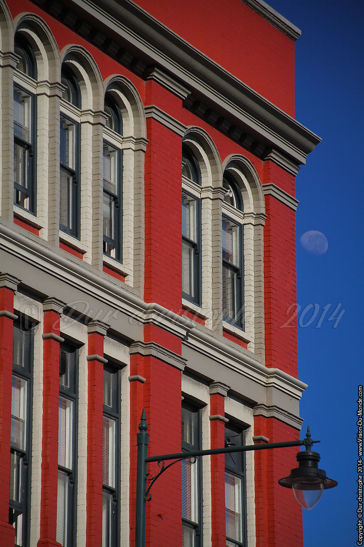 Dunedin - 2014