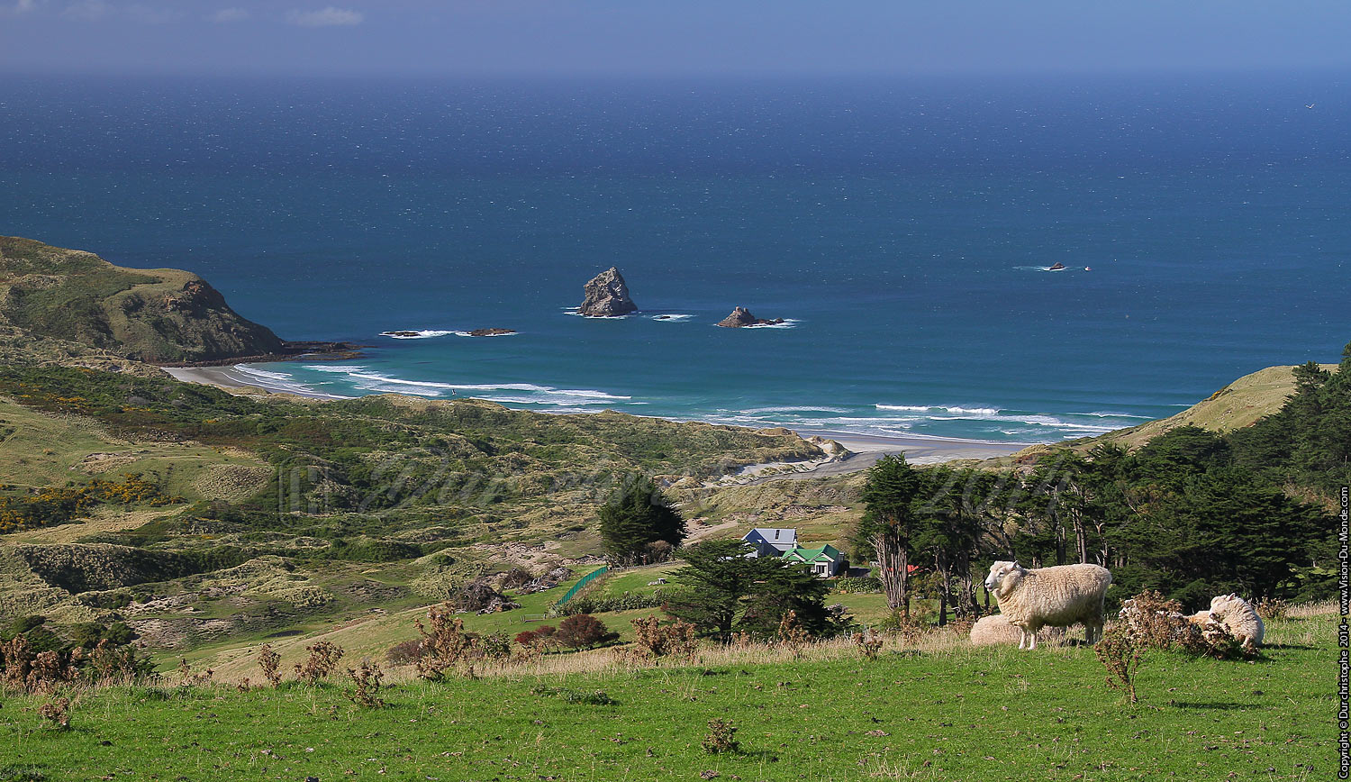 Péninsule d'Otago - 2014
