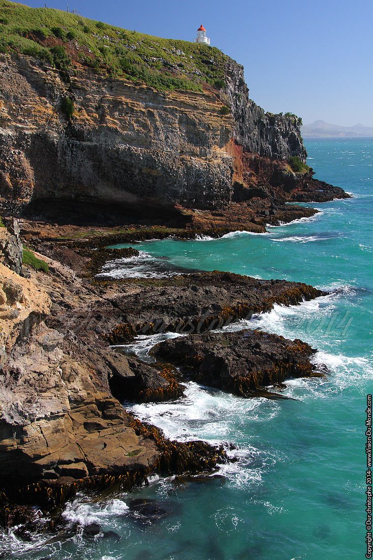 Péninsule d'Otago - 2014