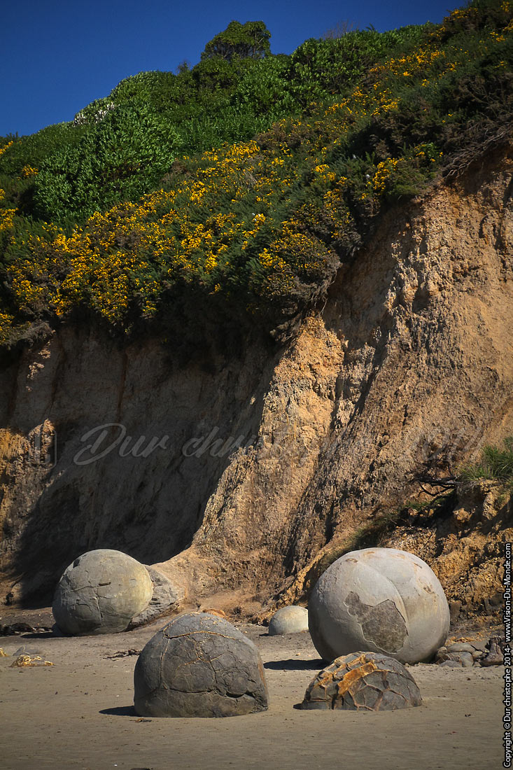 Moeraki Boulders - 2014
