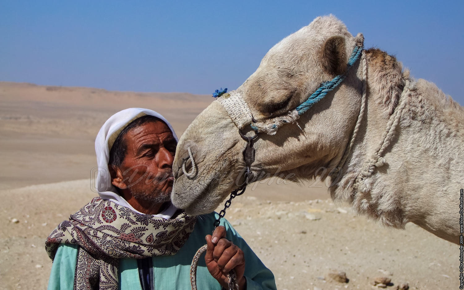 Le baiser  - Saqqarah - Egypte - 2009