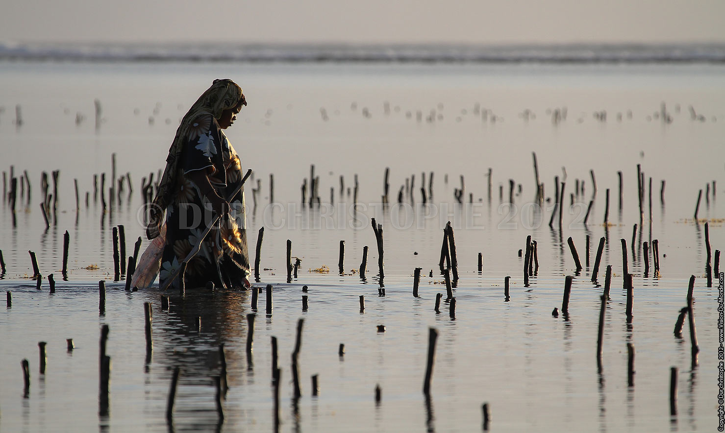 Zanzibar - TANZANIE - 2012