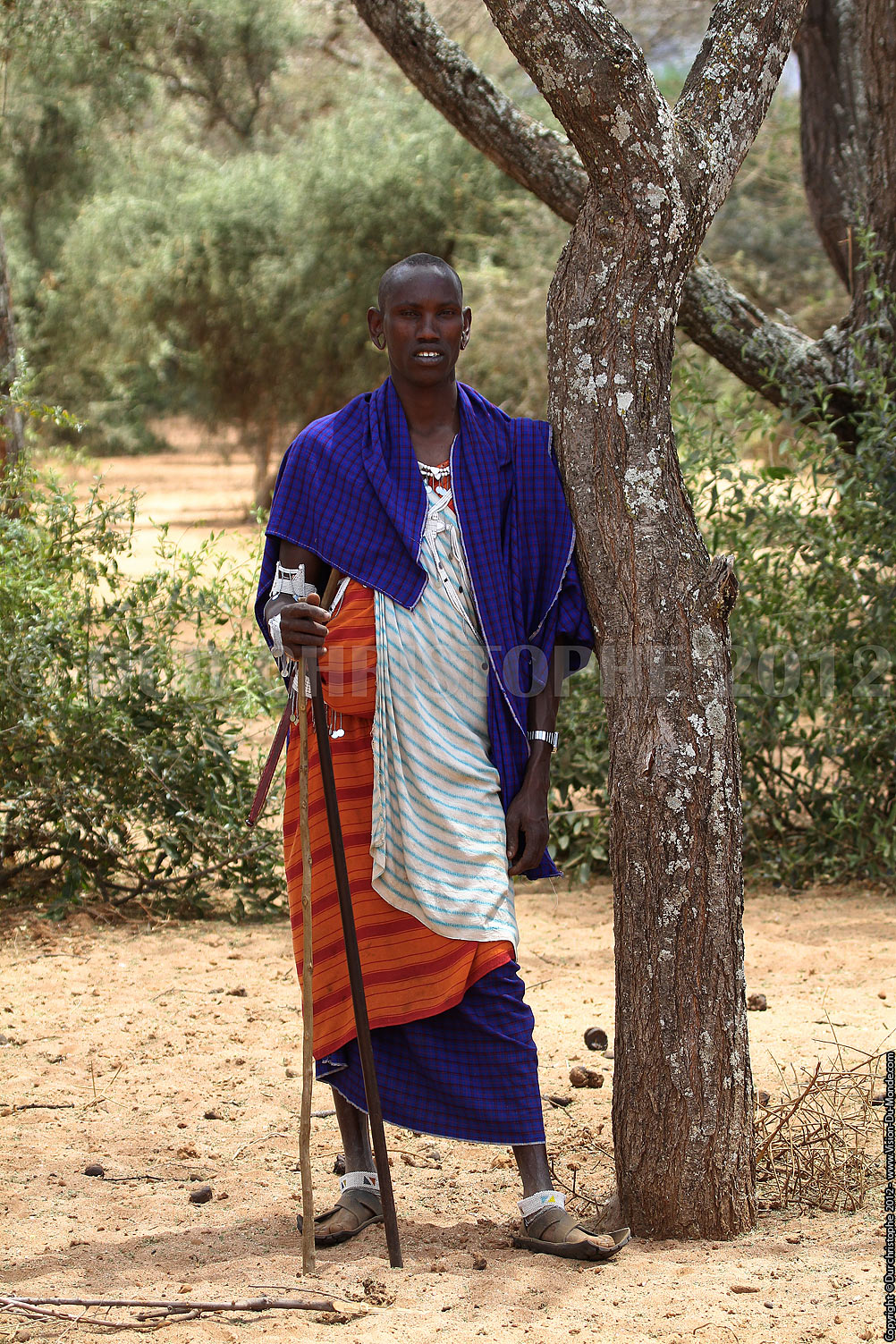 Le massai - TANZANIE - 2012
