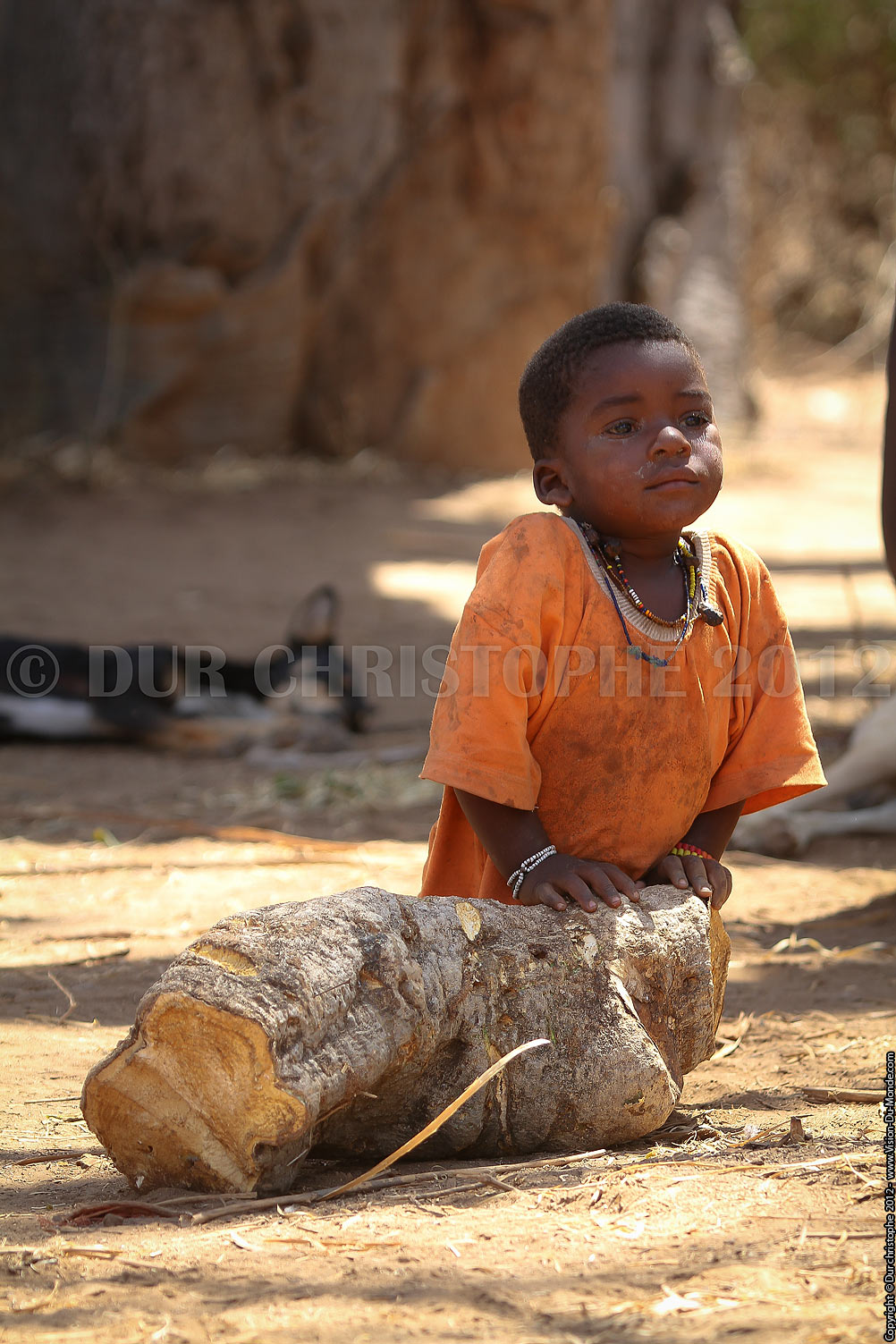 - TANZANIE - 2012