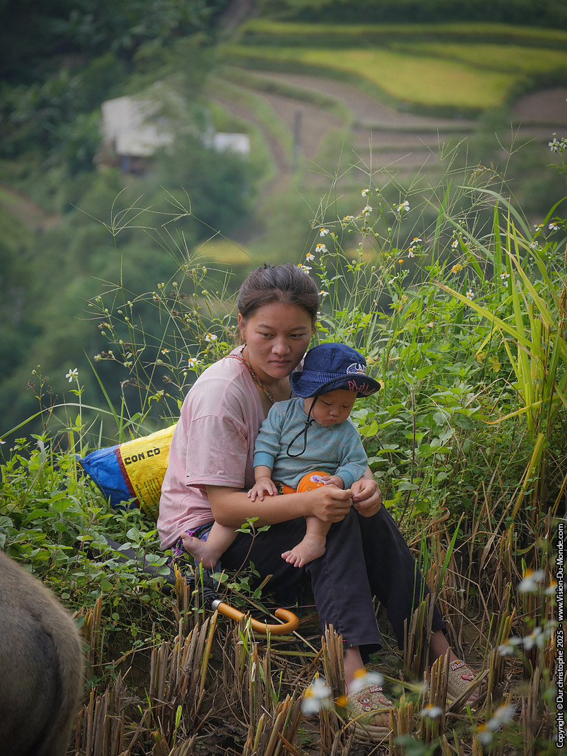 Hoang Su Phi District - Vietnam - 2025