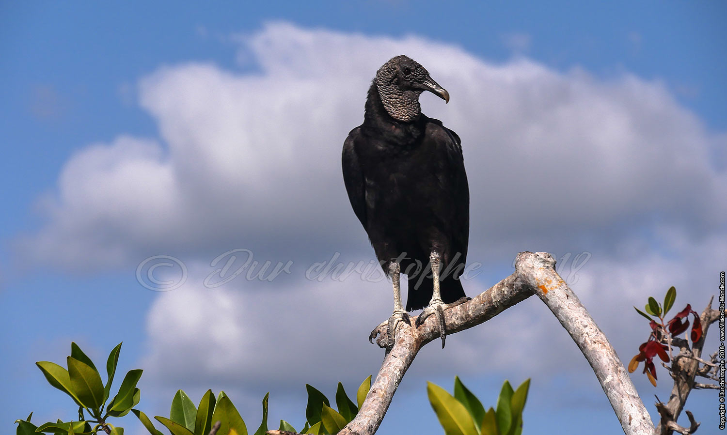 Reserve de Sian Ka'an